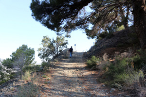 Explotación de ofitas. Sierra de Olta. Benisa.    