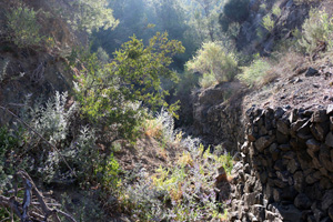 Explotación de ofitas. Sierra de Olta. Benisa.    