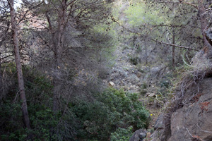 Explotación de ofitas. Sierra de Olta. Benisa.    