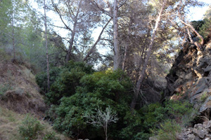 Explotación de ofitas. Sierra de Olta. Benisa.  