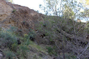 Explotación de ofitas. Sierra de Olta. Benisa.  