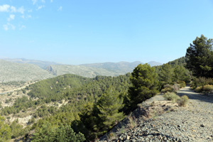 Explotación de ofitas. Sierra de Olta. Benisa.