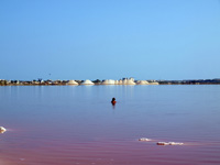 Salinas de Torrevieja. Alicante    