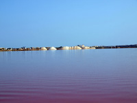 Salinas de Torrevieja. Alicante    