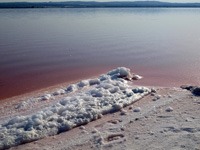 Salinas de Torrevieja. Alicante    