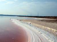 Salinas de Torrevieja. Alicante  