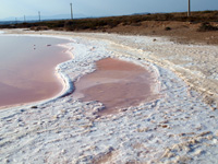 Salinas de Torrevieja. Alicante         