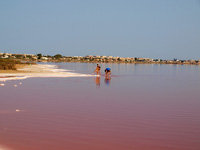 Salinas de Torrevieja. Alicante  