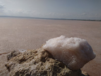 Salinas de Torrevieja. Alicante   