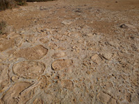 Salinas de Torrevieja. Alicante   