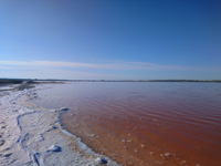 Salinas de Torrevieja. Alicante   