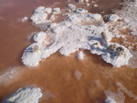 Salinas de Torrevieja. Alicante  