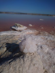 Salinas de Torrevieja. Alicante   