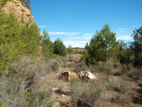 Cantera Romani. Concesión Algezares. Segorbe. Castellón