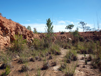   Cantera Romani. Concesión Algezares. Segorbe. Castellón