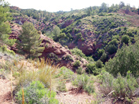 Barranco la Terzaga. Camporrobles. Valencia   