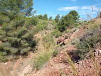 Barranco la Terzaga. Camporrobles. Valencia. Aragonito   