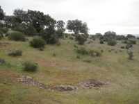 Cerro de las Minas, Mérida, Comarca Tierra de Mérida - Vegas Bajas. Badajoz, Extremadura