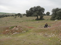 Cerro de las Minas, Mérida, Comarca Tierra de Mérida - Vegas Bajas. Badajoz, Extremadura