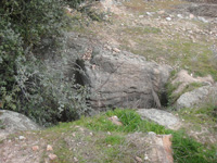 Cerro de las Minas, Mérida, Comarca Tierra de Mérida - Vegas Bajas. Badajoz, Extremadura