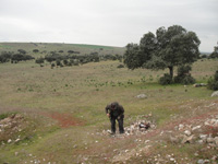 Cerro de las Minas, Mérida, Comarca Tierra de Mérida - Vegas Bajas. Badajoz, Extremadura