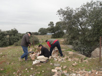 Cerro de las Minas, Mérida, Comarca Tierra de Mérida - Vegas Bajas. Badajoz, Extremadura