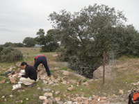 Cerro de las Minas, Mérida, Comarca Tierra de Mérida - Vegas Bajas. Badajoz, Extremadura