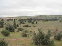 Cerro de las Minas, Mérida, Comarca Tierra de Mérida - Vegas Bajas. Badajoz, Extremadura