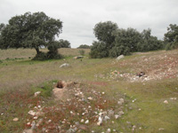 Cerro de las Minas, Mérida, Comarca Tierra de Mérida - Vegas Bajas. Badajoz, Extremadura