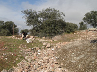 Cerro de las Minas, Mérida, Comarca Tierra de Mérida - Vegas Bajas. Badajoz, Extremadura