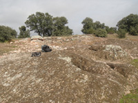 Cerro de las Minas, Mérida, Comarca Tierra de Mérida - Vegas Bajas. Badajoz, Extremadura