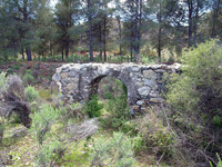 Mina Carlota. Cehegín. Murcia