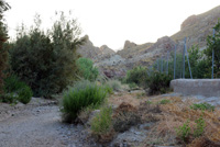 Rambla Carcelin. Ojos. Valle de Ricote. Murcia