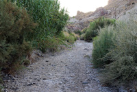 Rambla Carcelin. Ojos. Valle de Ricote. Murcia