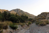 Rambla Carcelin. Ojos. Valle de Ricote. Murcia