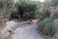 Rambla Carcelin. Ojos. Valle de Ricote. Murcia