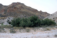 Rambla Carcelin. Ojos. Valle de Ricote. Murcia 