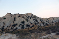 Rambla Carcelin. Ojos. Valle de Ricote. Murcia 