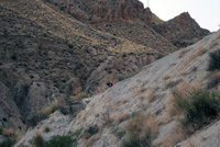 Rambla Carcelin. Ojos. Valle de Ricote. Murcia  