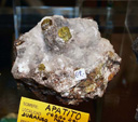 II Feria de Minerales de Alicante 