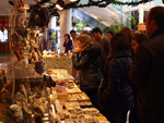 II Feria de Minerales de Alicante 