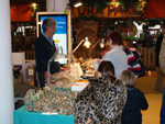 II Feria de Minerales de Alicante 