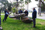 Jardín de Rocas de la Universidad de Alicante