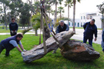 Jardín de Rocas de la Universidad de Alicante