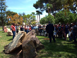  Jardín de Rocas de la Universidad de Alicante 