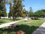 Jardín de Rocas de la Universidad de Alicante