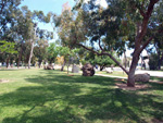 Jardín de Rocas de la Universidad de Alicante