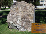  Jardín de Rocas de la Universidad de Alicante