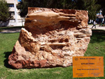  Jardín de Rocas de la Universidad de Alicante