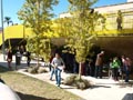 Mercadillo de Minerales. Centro Cultural las Cigarreras. Alicante